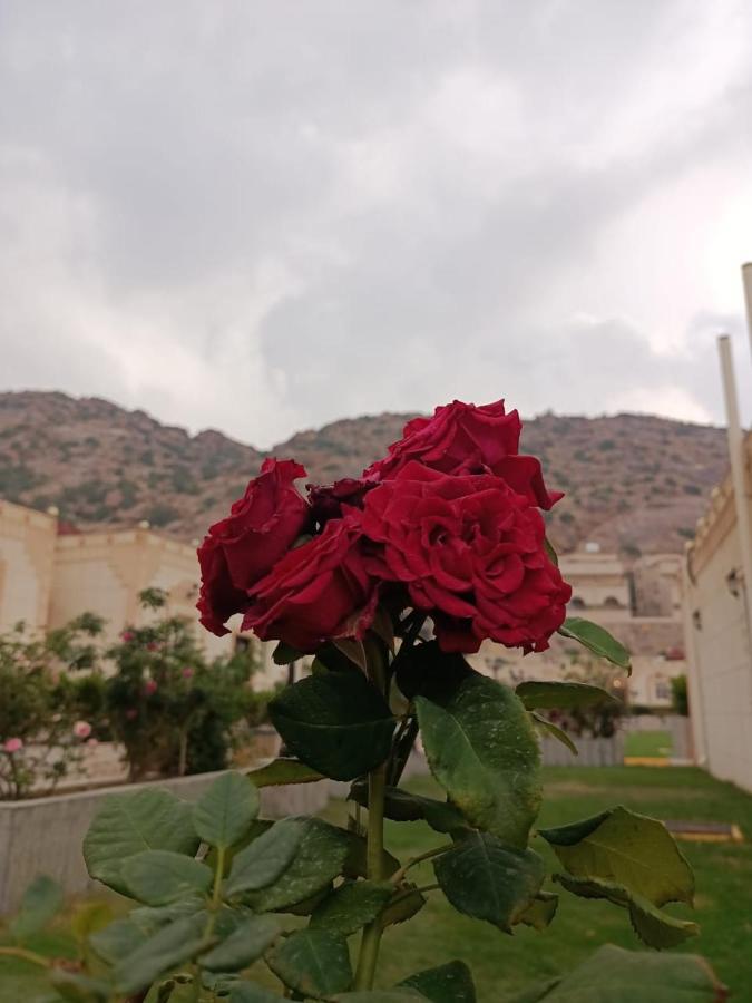 Fiori Resort Ta'if Extérieur photo